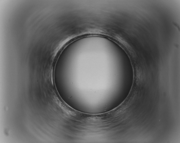 X0000100231272200806061400