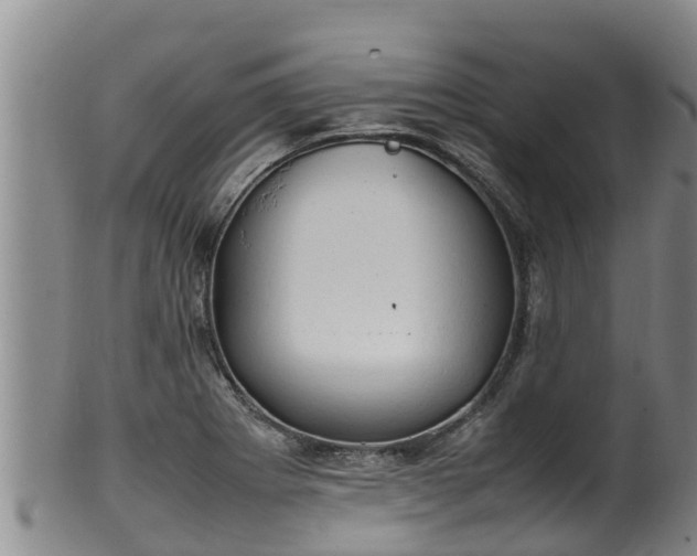 X0000100231273200806061400