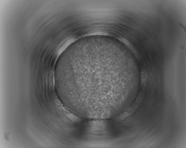 X0000100231274200806061400