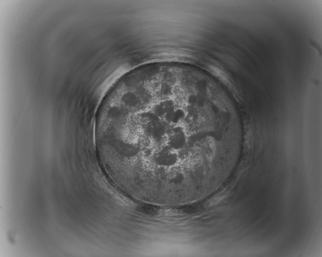 X0000100231275200806061400