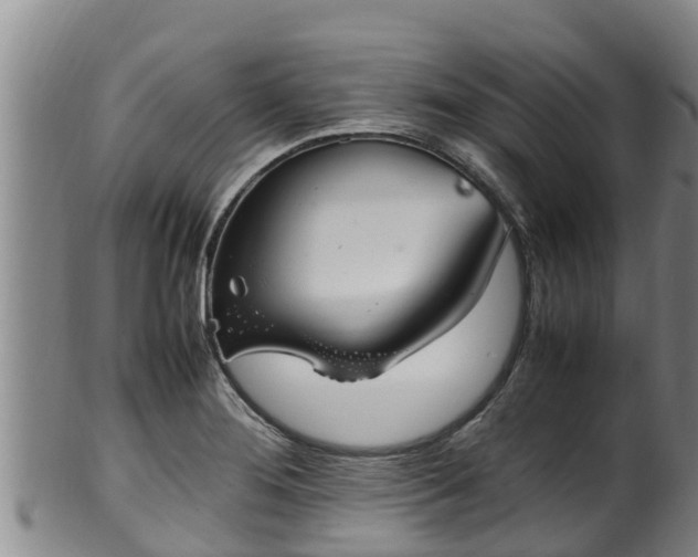 X0000100231276200806061400