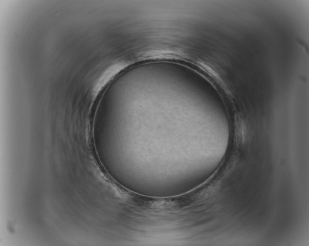 X0000100231277200806061400