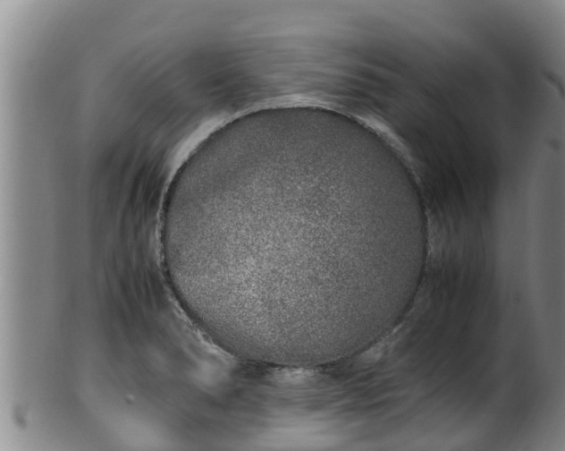 X0000100231278200806061400