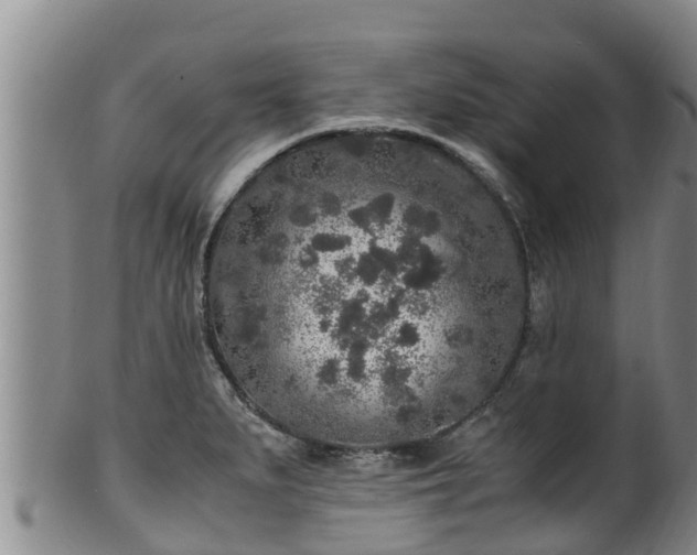 X0000100231279200806061400