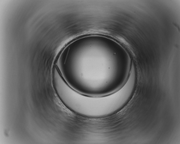 X0000100231280200806061400