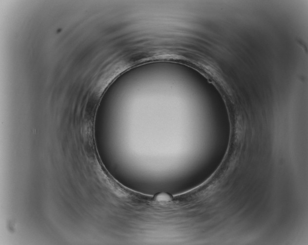 X0000100231281200806061400