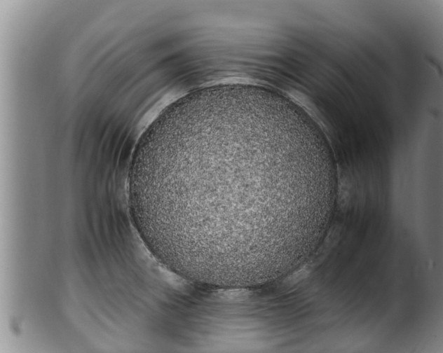 X0000100231282200806061400