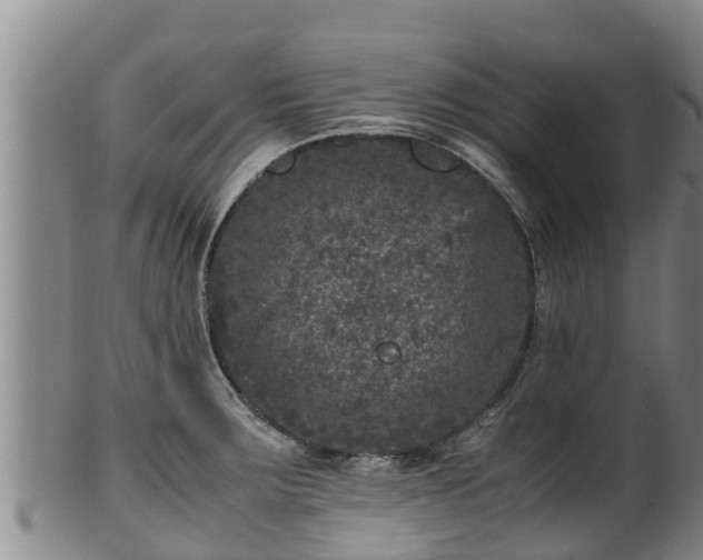 X0000100231283200806061400