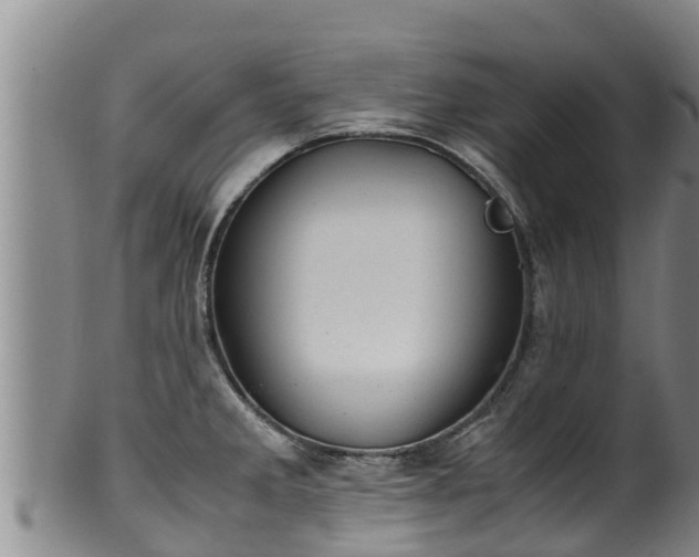 X0000100231285200806061400