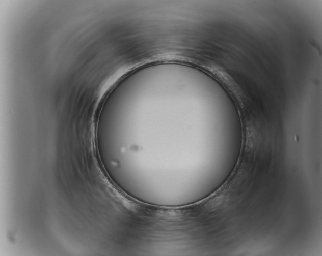 X0000100231286200806061400