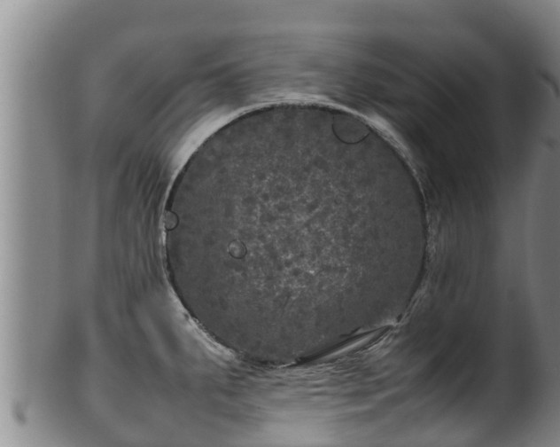 X0000100231287200806061400