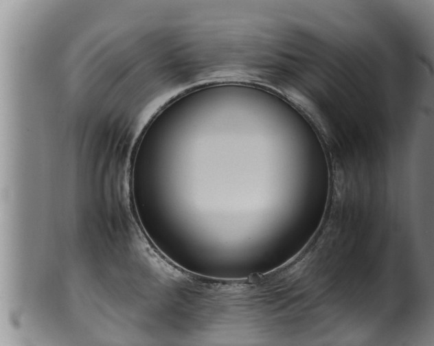 X0000100231288200806061400