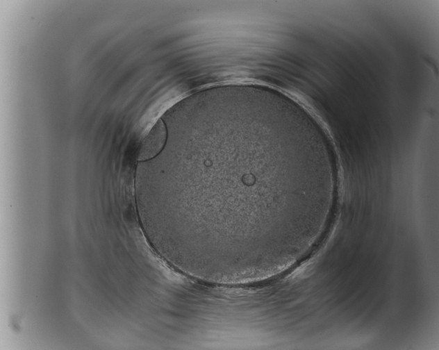 X0000100231289200806061400