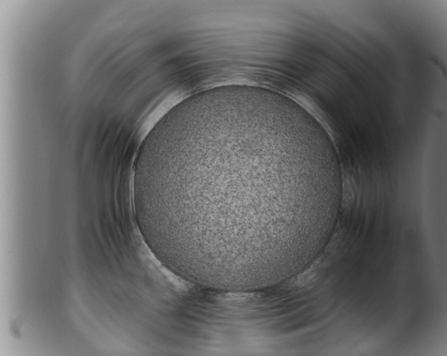 X0000100231290200806061400