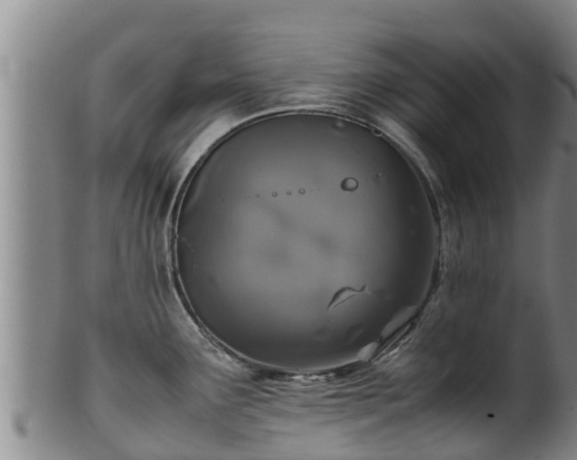 X0000100231291200806061400