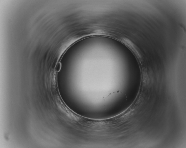 X0000100231292200806061400