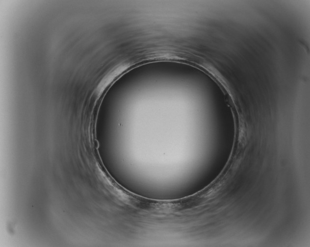 X0000100231293200806061400