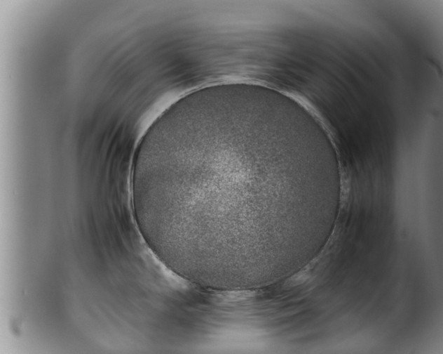 X0000100231294200806061400