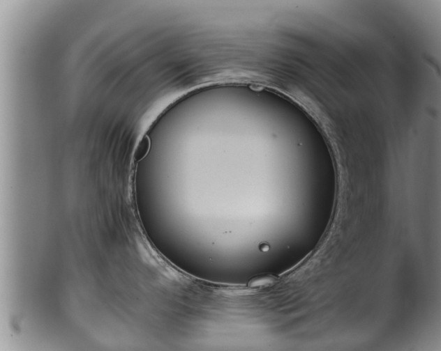 X0000100231296200806061400