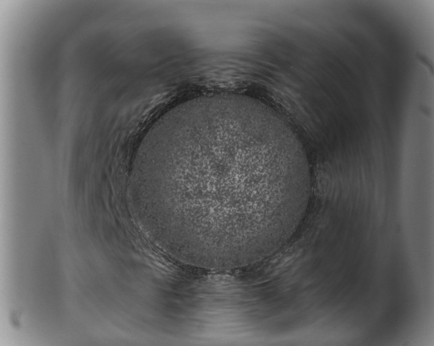 X0000100231297200806061359