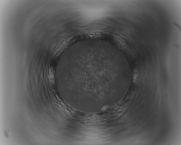 X0000100231298200806061359