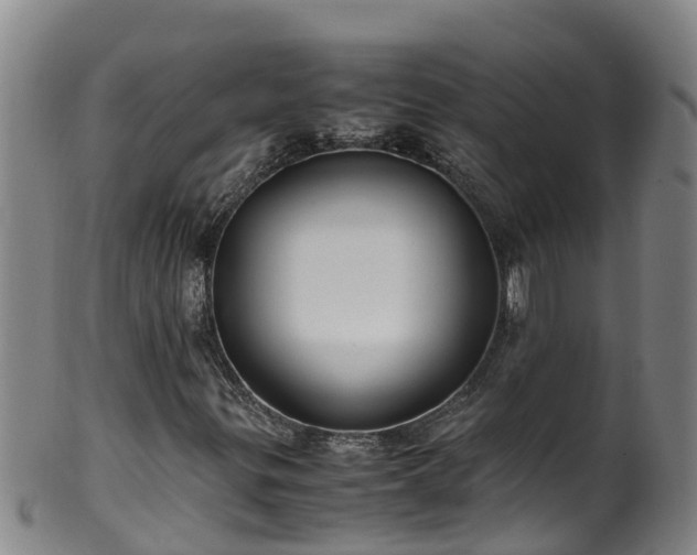 X0000100231299200806061359