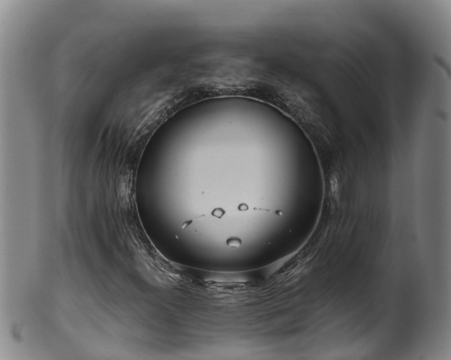 X0000100231300200806061359