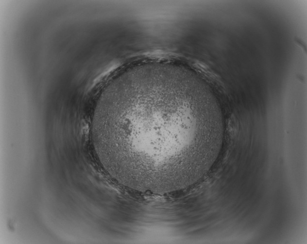 X0000100231302200806061359