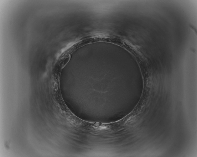 X0000100231303200806061359