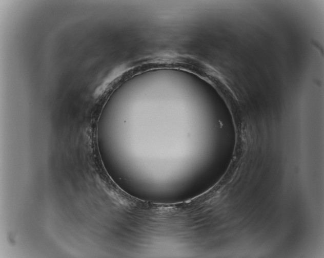 X0000100231304200806061359