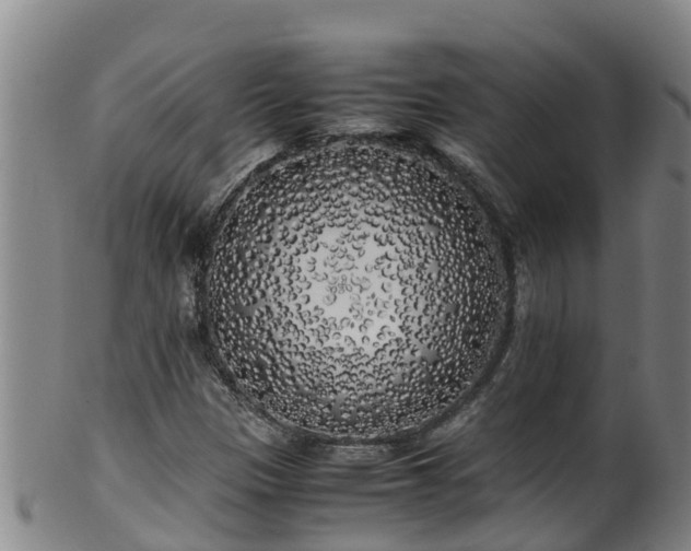 X0000100231305200806061359