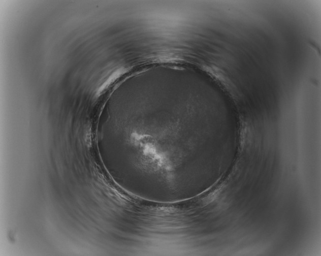 X0000100231306200806061359