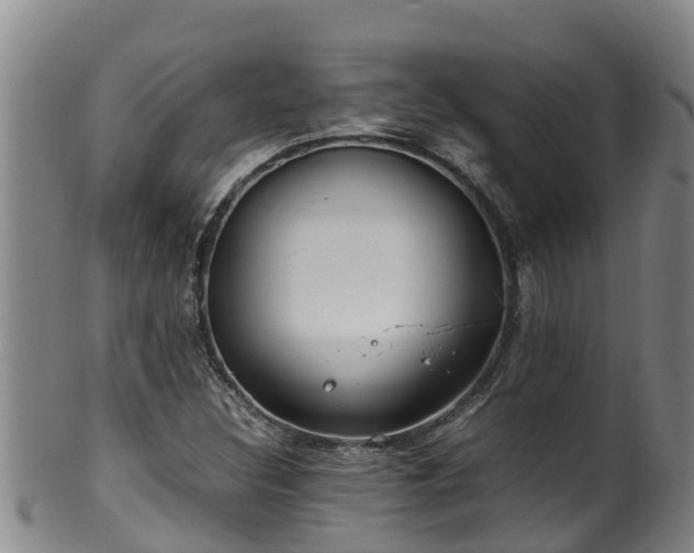 X0000100231308200806061359