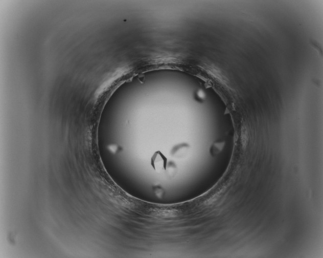 X0000100231309200806061359