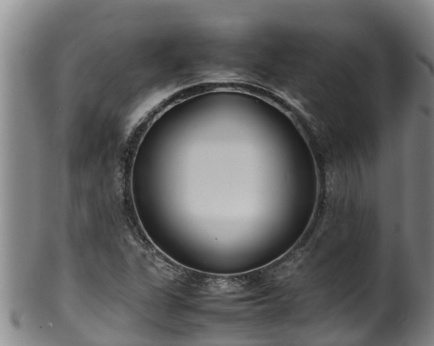 X0000100231311200806061359