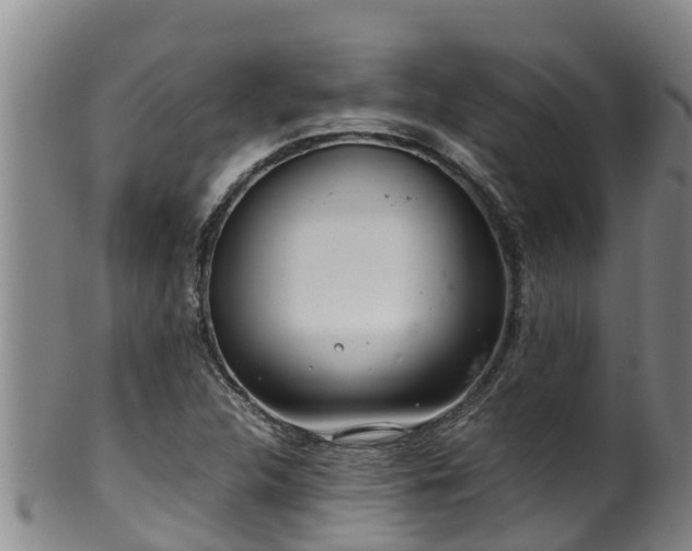 X0000100231312200806061359