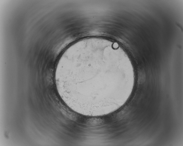 X0000100231314200806061359