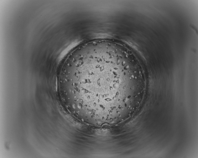 X0000100231317200806061359