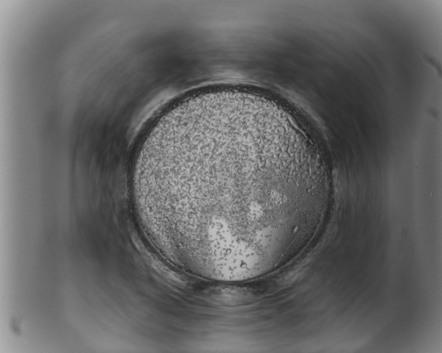 X0000100231318200806061359