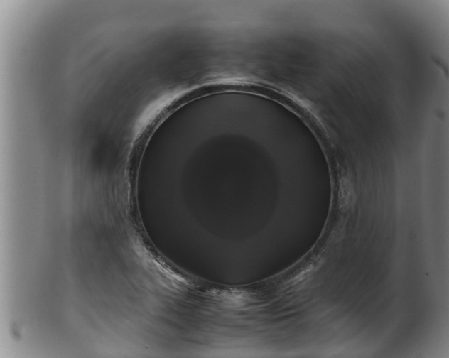 X0000100231319200806061359