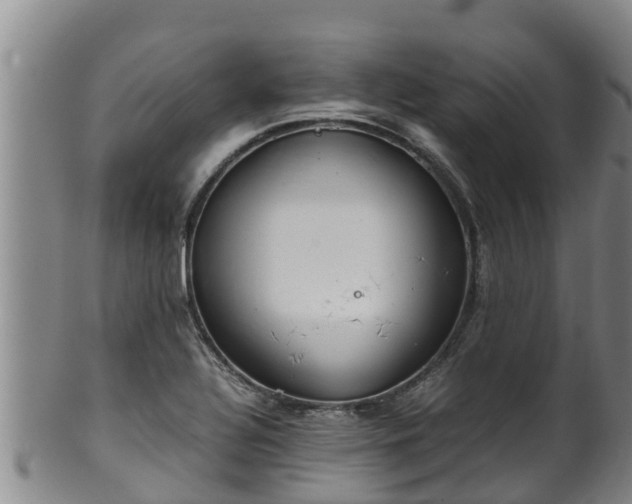 X0000100231320200806061359