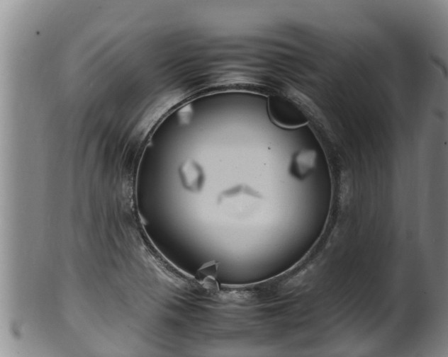 X0000100231321200806061359