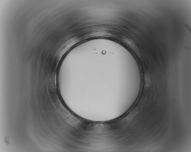 X0000100231322200806061359