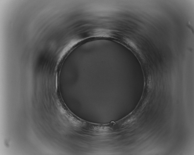 X0000100231323200806061359