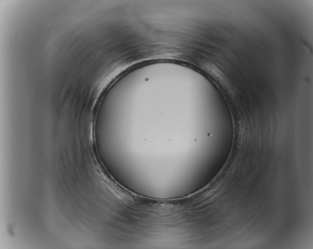 X0000100231324200806061359