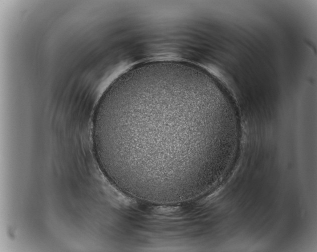 X0000100231325200806061359