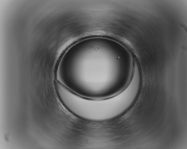 X0000100231326200806061359