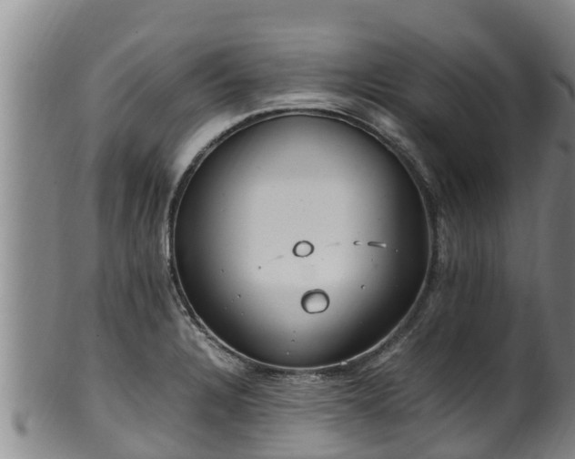 X0000100231328200806061359