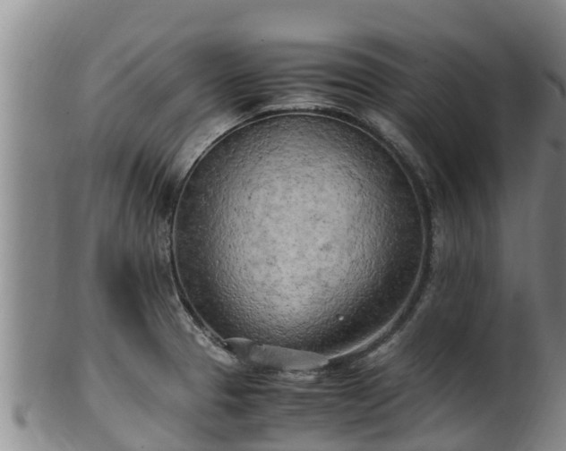 X0000100231329200806061400