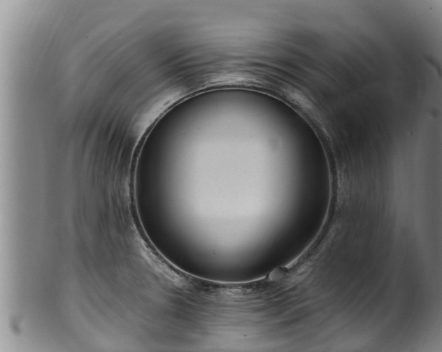 X0000100231330200806061400